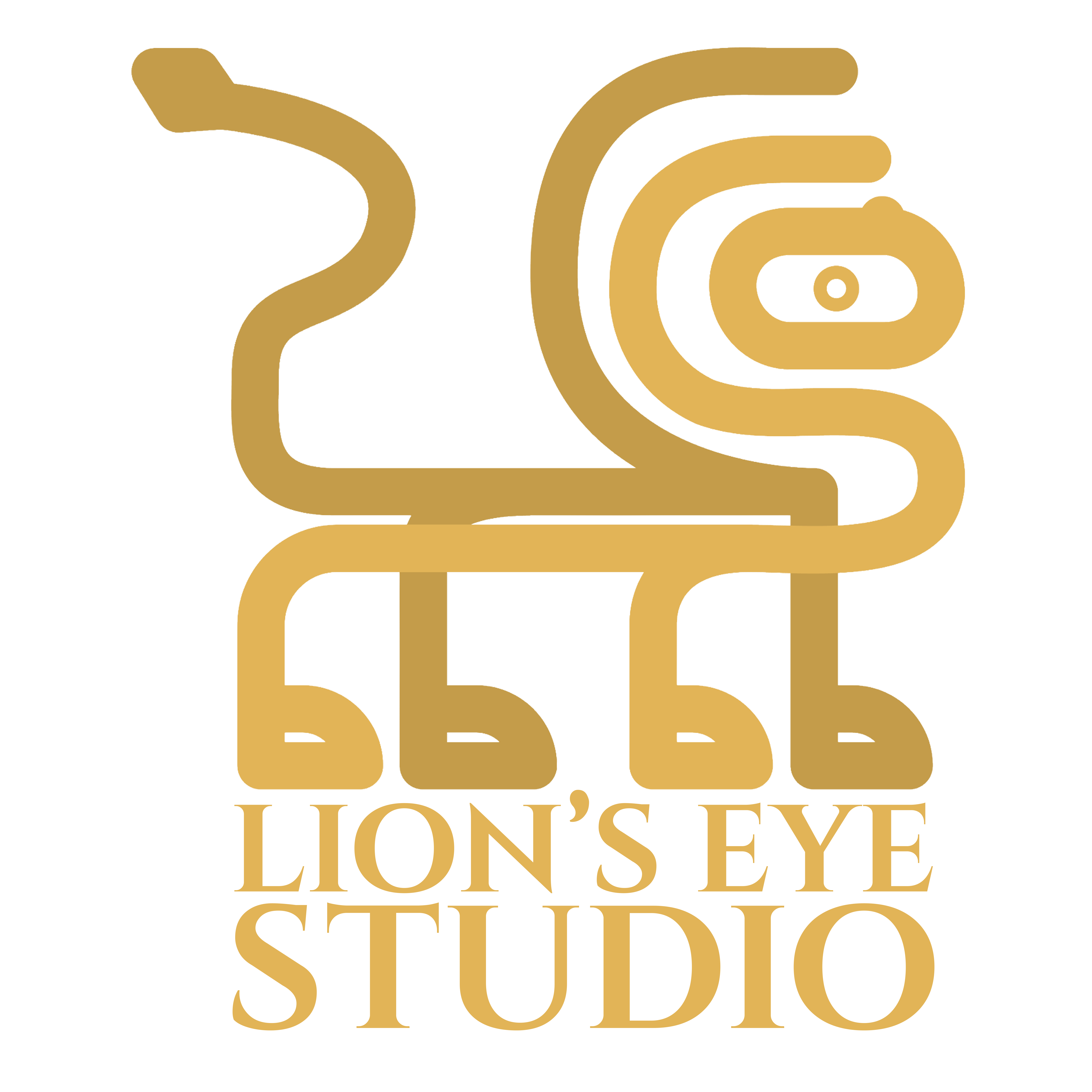 Lion's Eye Logo